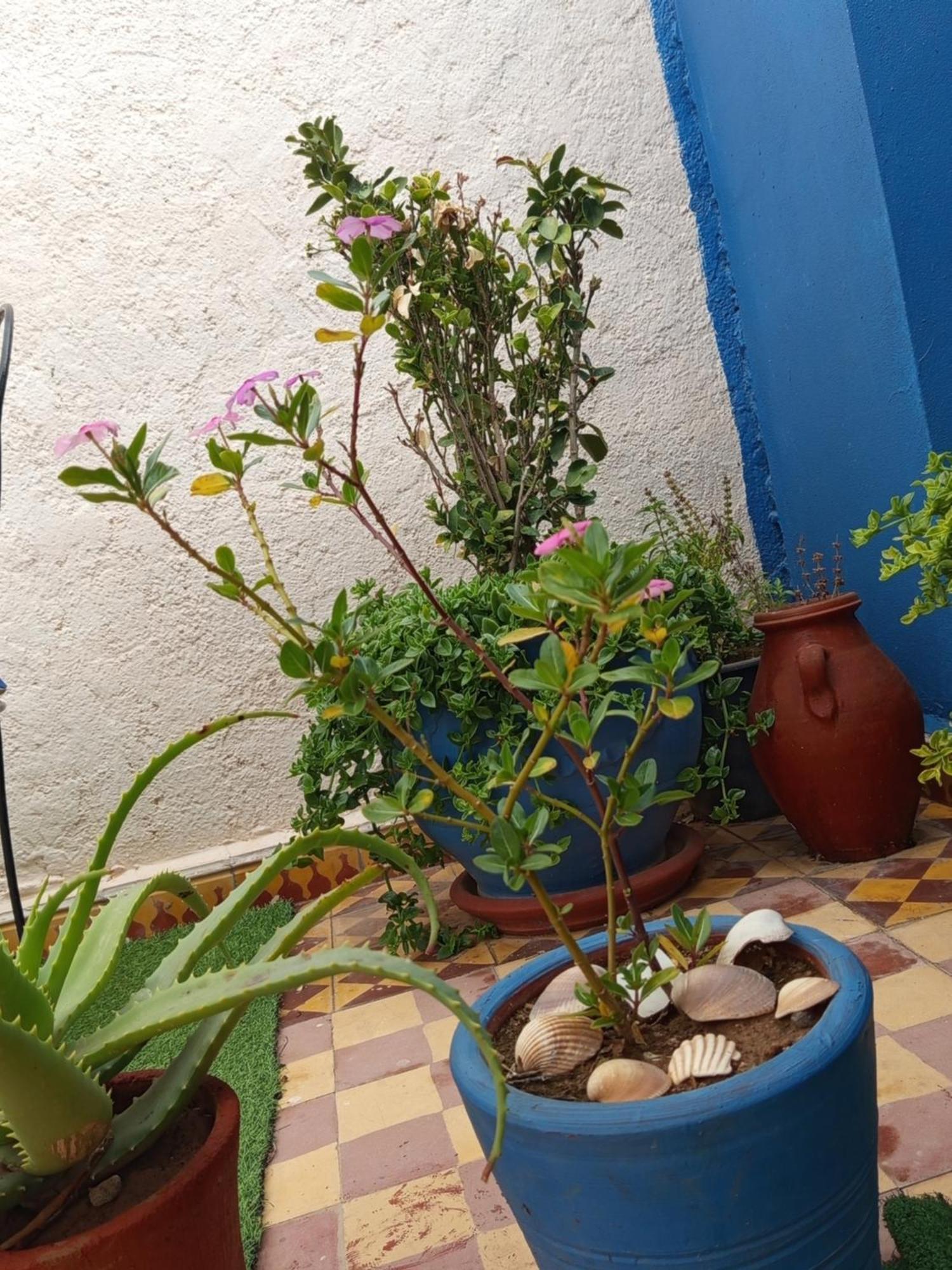 Riad Derb El Aarsa Марракеш Экстерьер фото